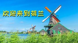 欢迎来到荷兰